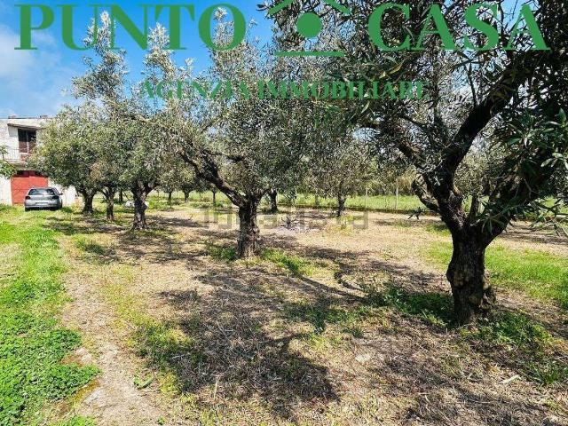 Rustico in vendita a Mortilla, Gizzeria