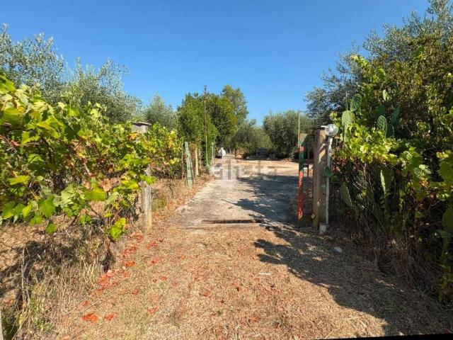 Rustico in vendita a Sermoneta, Lazio