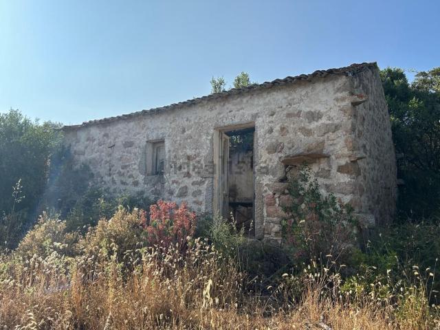 Rustico in vendita a Luogosanto, Sardigna/Sardegna