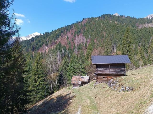 Rustico in vendita a Comunità Valsugana e Tesino, Castello Tesino