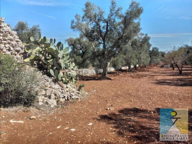 Rustico in vendita a Puglia, Brindisi