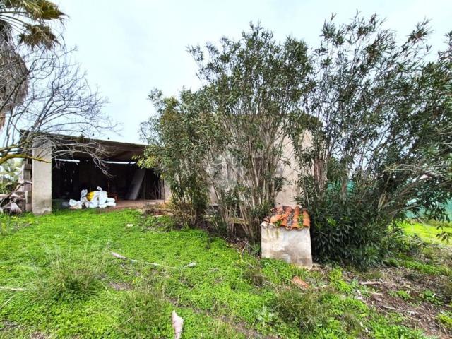 Rustico in vendita a Calasetta, Sardigna/Sardegna