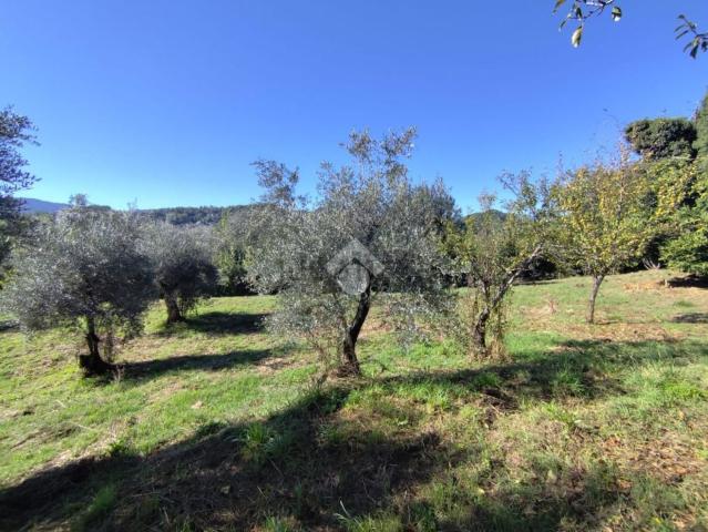 Rustico in vendita a Roma Capitale, Lazio