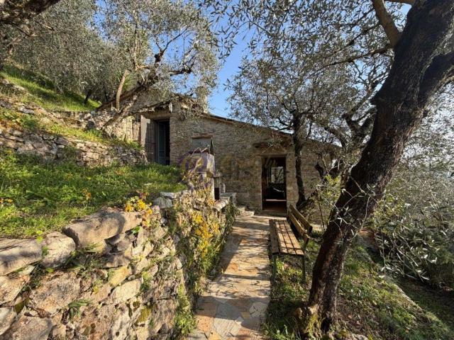 Rustico in vendita a Camaiore, Toscana