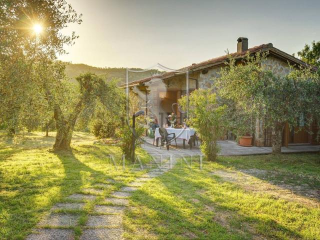 Rustico in vendita a Scrofiano, Sinalunga