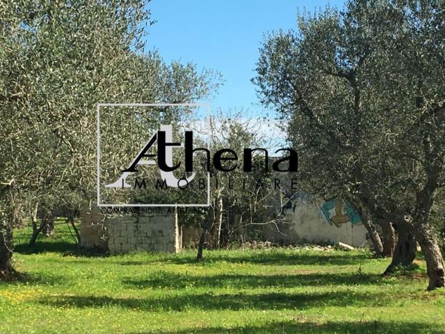 Rustico in vendita a Puglia, Lecce