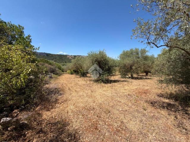 Rustico in vendita a Ossi, Sardigna/Sardegna