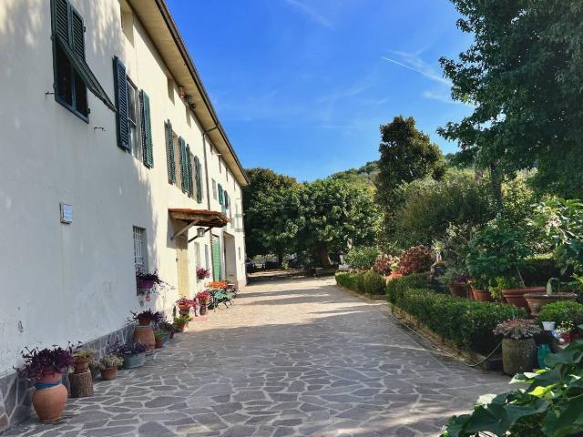 Rustico in vendita a Capannori, Toscana