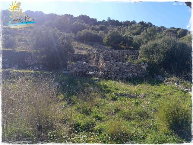 Rustico in vendita a Puglia, Brindisi