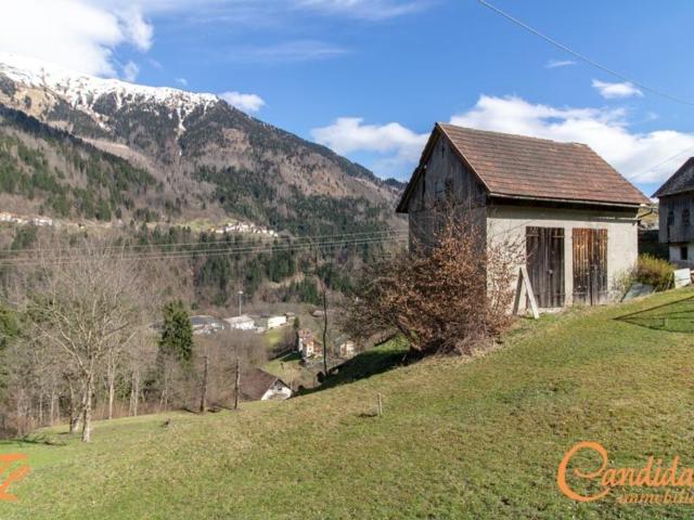 Rustico in vendita a Rigolato, Friuli-Venezia Giulia