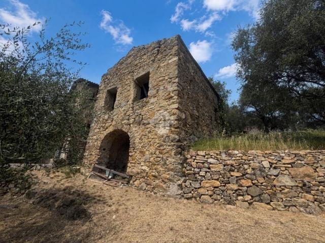 Rustico in vendita a Madonna della Neve, Vallebona