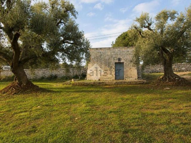 Rustico in vendita a Puglia, Brindisi