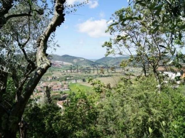 Rustico in vendita a Vecchiano, Toscana