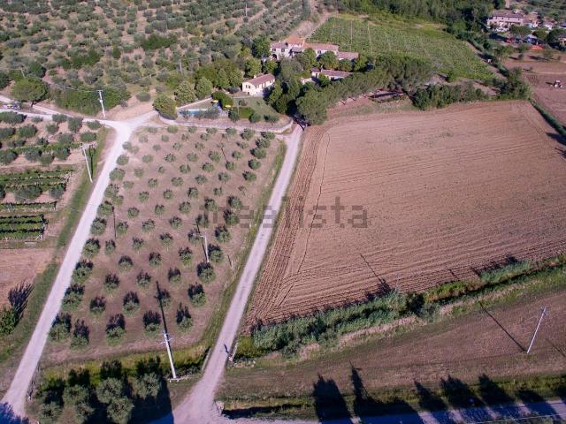 Rustico in vendita a Cortona, Toscana
