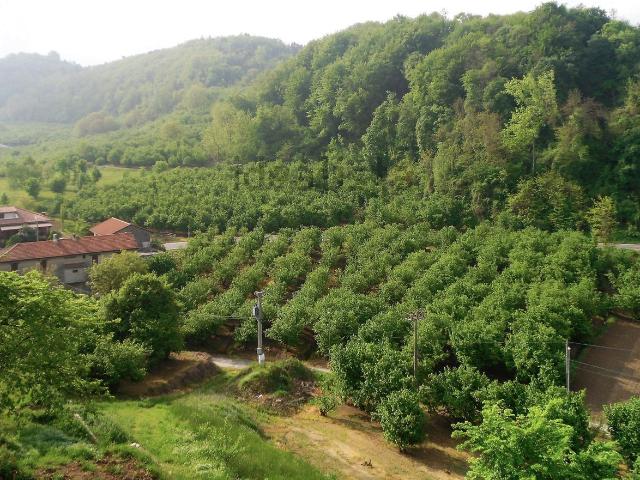 Rustico in vendita a Piemonte, Cuneo