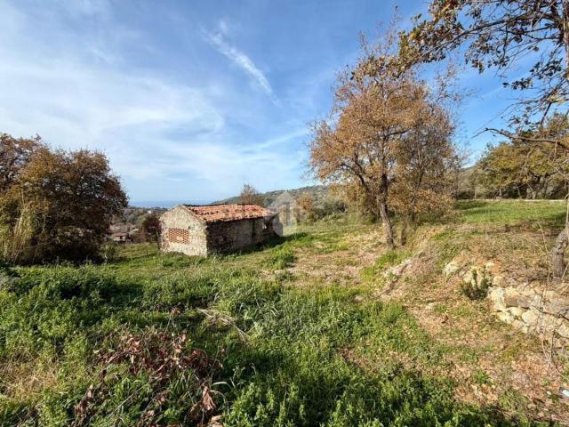 Rustico in vendita a Calabria, Cosenza
