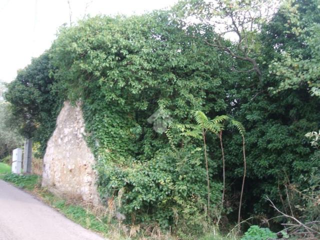 Rustico in vendita a Piedimonte San Germano, Lazio