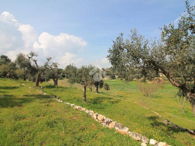 Rustico in vendita a Contrada Badessa, Puglia