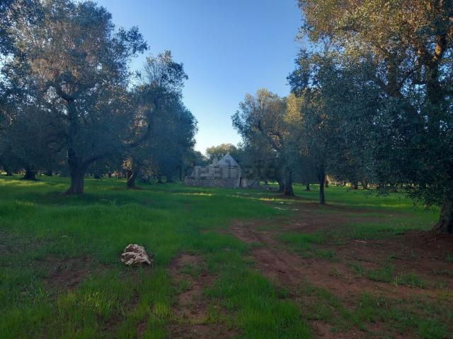 Rustico in vendita a Puglia, Brindisi