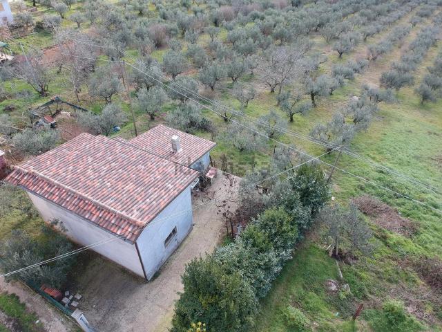 Rustico in vendita a Piglio, Lazio