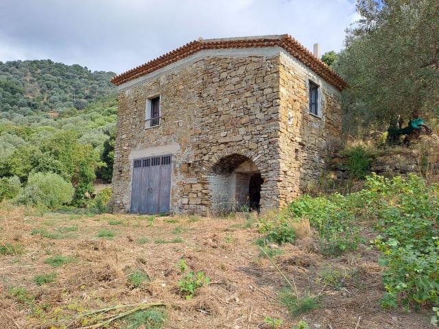 Rustico in vendita a Galdo, Pollica
