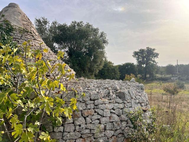 Rustico in vendita a Casello Cavuzzi, Puglia