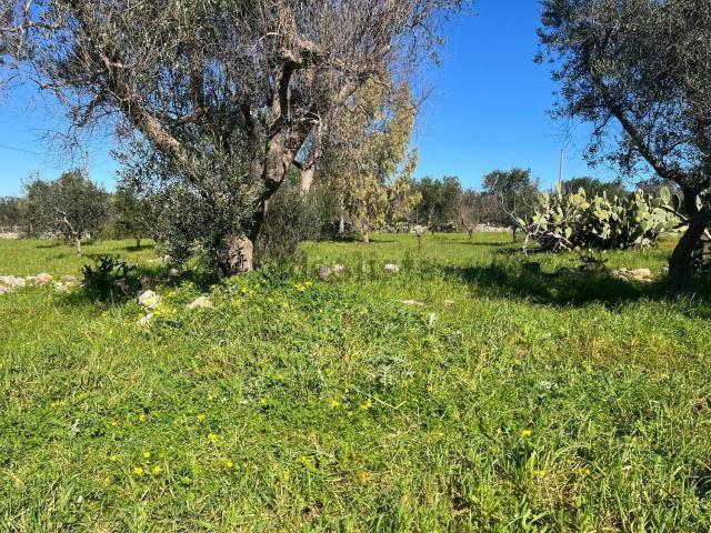 Rustico in vendita a Puglia, Brindisi