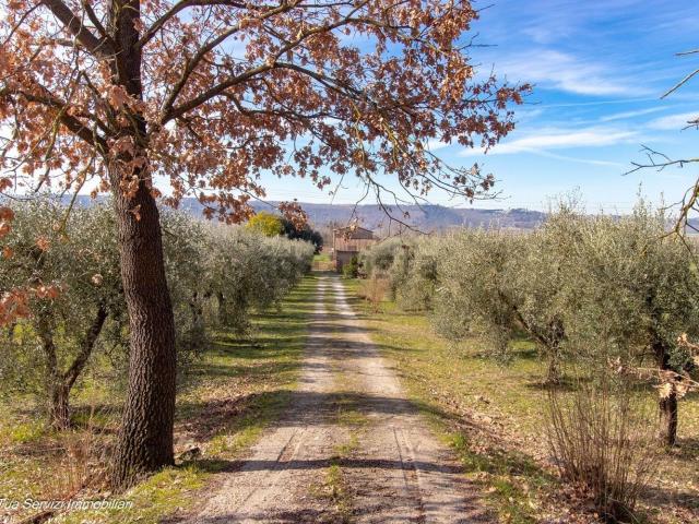 Rustico in vendita a Attigliano, Umbria