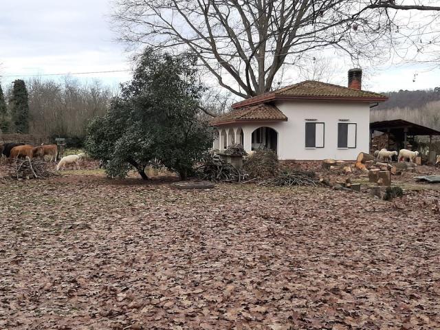Rustico in vendita a Lonate Pozzolo, Lombardia