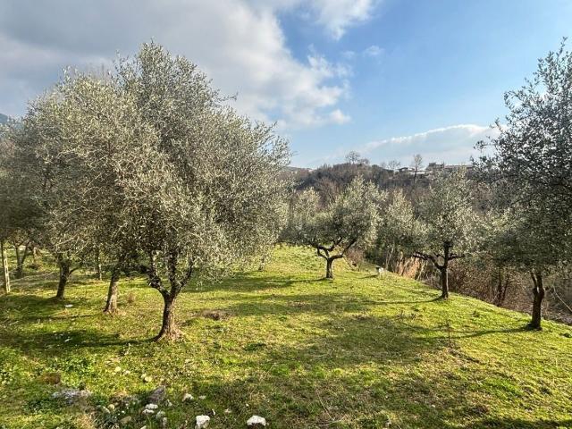 Rustico in vendita a Alatri, Lazio