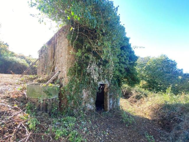 Rustico in vendita a Casale Lungo, Roma Capitale