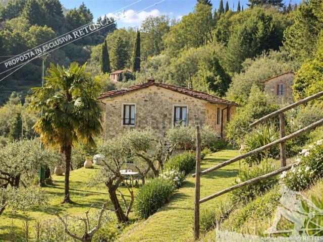 Rustico in vendita a Piegaio Alto, Pescaglia