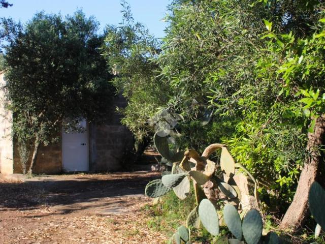 Rustico in vendita a Puglia, Brindisi