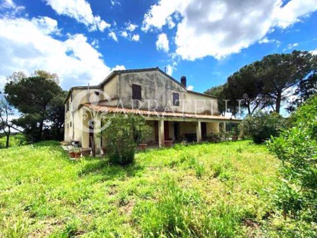Rustico in vendita a Magliano In Toscana, Toscana