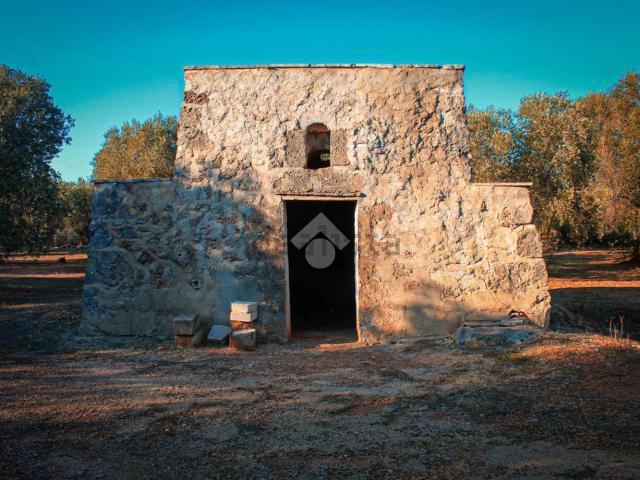 Rustico in vendita a Puglia, Brindisi
