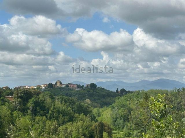 Rustico in vendita a Crespina Lorenzana, Crespina