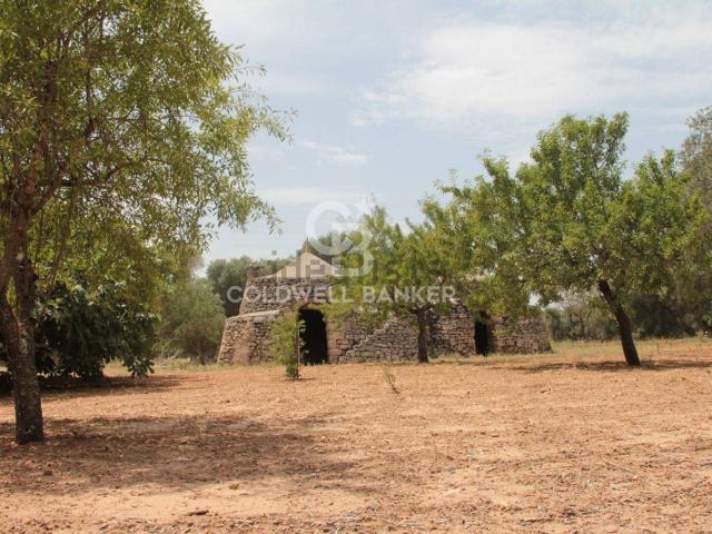 Rustico in vendita a Puglia, Brindisi