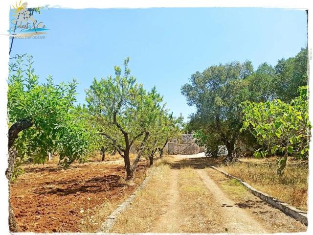 Rustico in vendita a Puglia, Brindisi