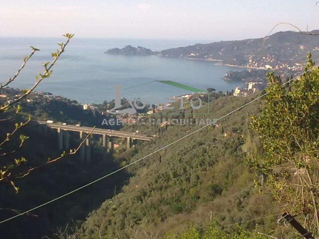 Rustico in vendita a Rapallo, Liguria