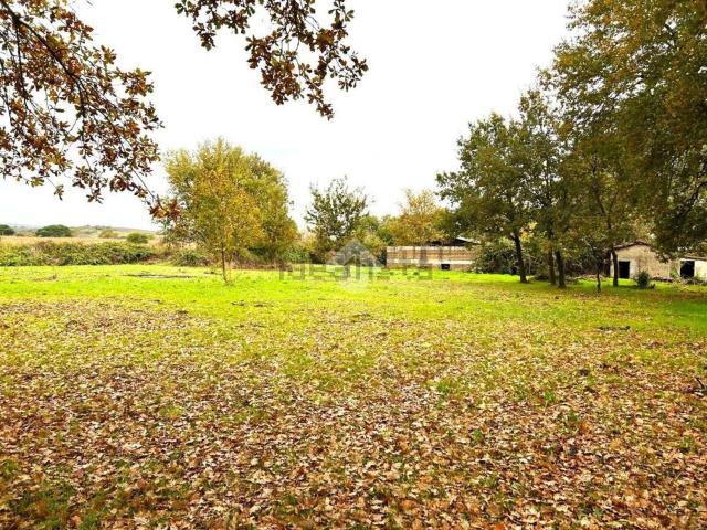 Rustico in vendita a Sutri, Lazio