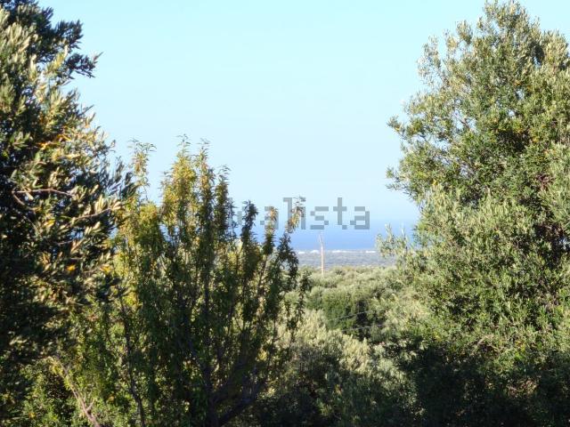 Rustico in vendita a Canale di Pirro, Puglia
