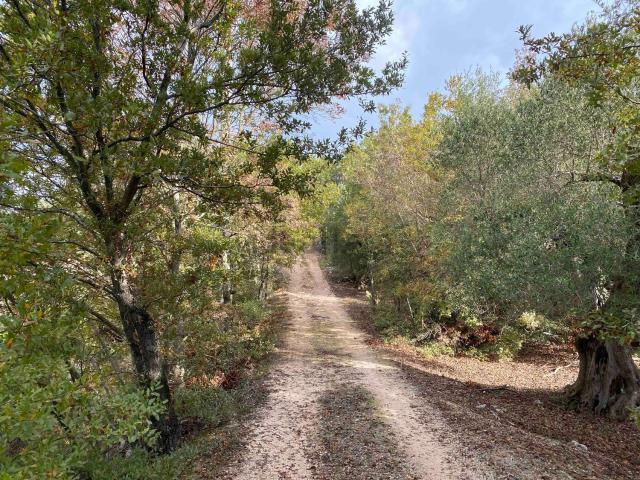 Rustico in vendita a Ostuni, Brindisi