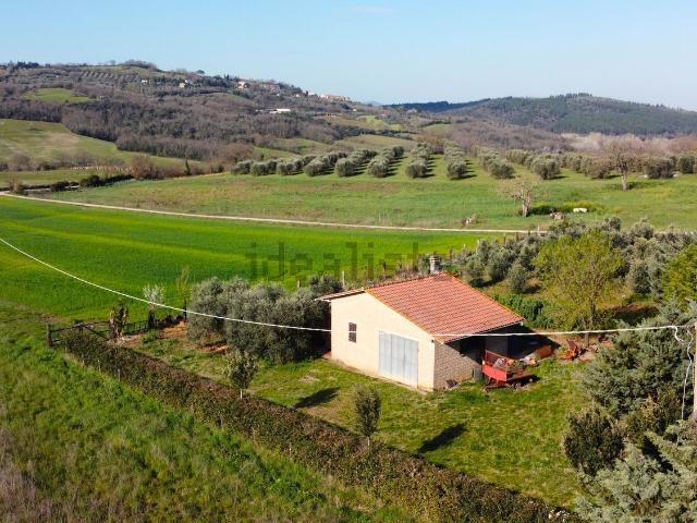Rustico in vendita a Podere Roggioli, Cinigiano