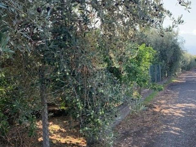 Rustico in vendita a Guardia, Acireale
