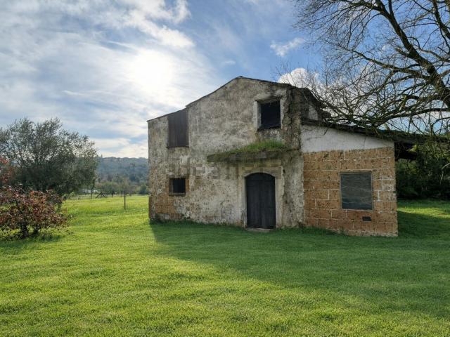 Rustico in vendita a Petignano, Orte