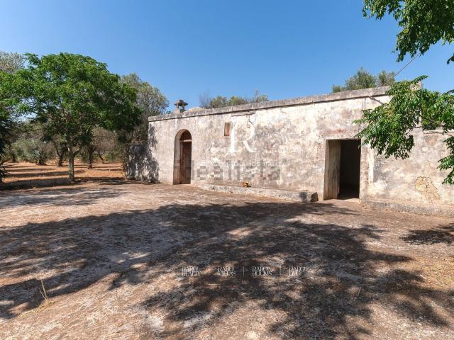 Rustico in vendita a Puglia, Brindisi