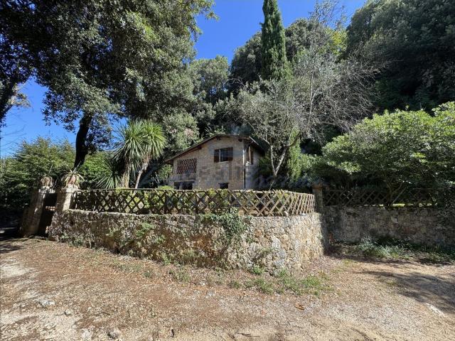 Rustico in vendita a Tonfano, Toscana