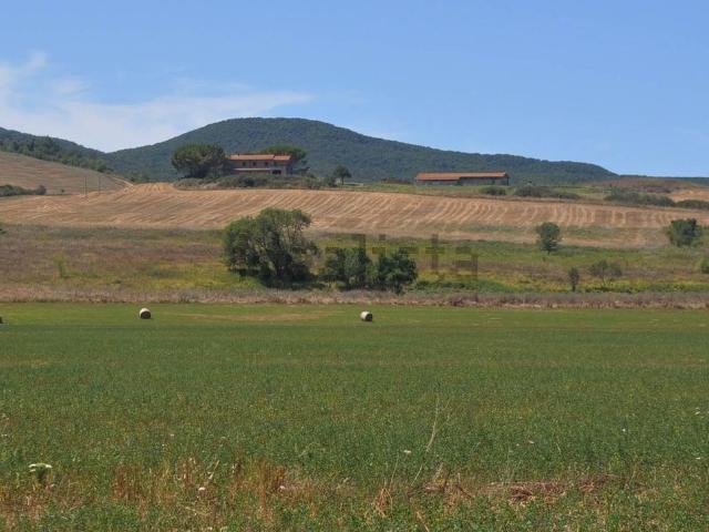 Rustico in vendita a Bibbona, Toscana