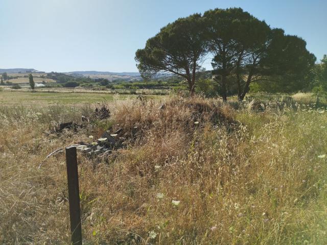 Rustico in vendita a Perfugas, Sardigna/Sardegna