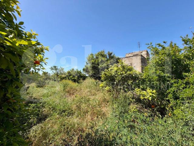 Rustico in vendita a Vittoria, Ragusa